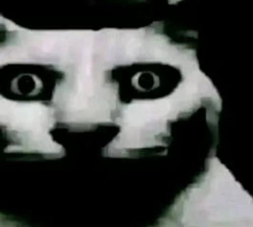 Yondaime  Hokage#6666